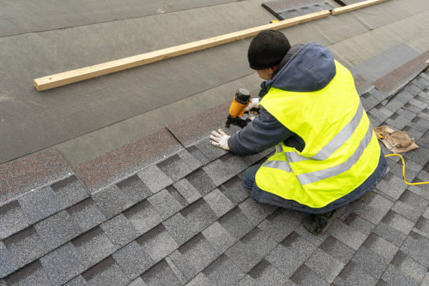 Roof Gutter Cleaning in East Renton Highlands, WA