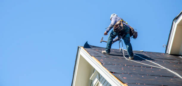Best Roof Gutter Cleaning  in East Renton Highlands, WA